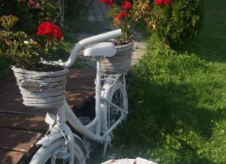 Biciclete și gastronomie: Descoperă bucatele locale într-o călătorie cu bicicleta