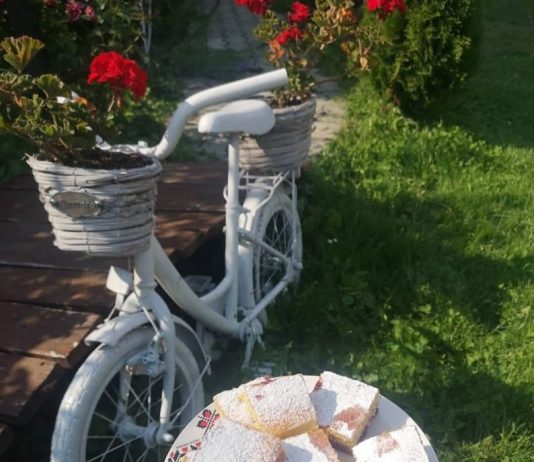 Biciclete și gastronomie: Descoperă bucatele locale într-o călătorie cu bicicleta