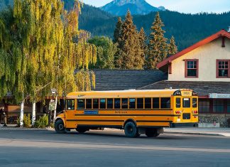 Călătorii cu autobuzul prin Canada: De la Munții Stâncoși la orașul Quebec