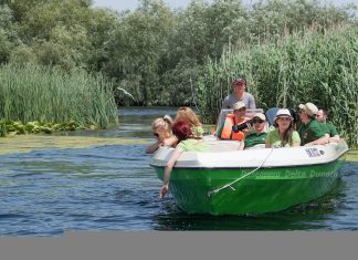 Călătorii cu barca prin Delta Dunării: Descoperirea biodiversității locale