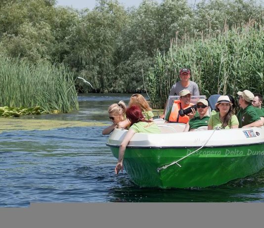 Călătorii cu barca prin Delta Dunării: Descoperirea biodiversității locale