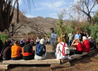 Ce face un ghid turistic? Definiție si Tipuri