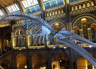 Cele mai bune de lucruri de făcut în Appleton