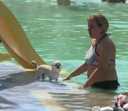 Cele mai bune parcuri acvatice pentru câini