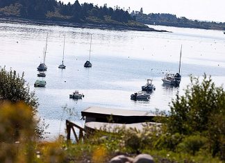 Excursii de neuitat cu barca Portland Maine