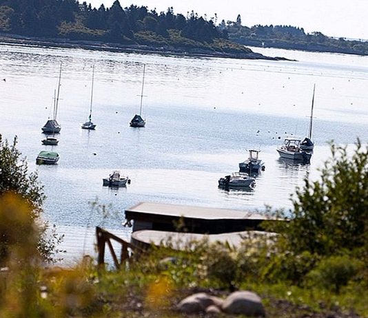 Excursii de neuitat cu barca Portland Maine