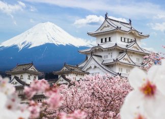 Fapte amuzante despre Japonia pe care ar trebui să le știți