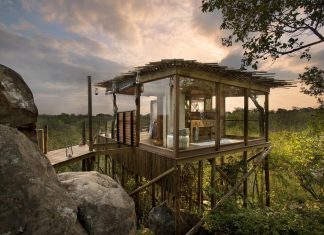 Hoteluri din Africa de Sud: Refugii de nișă în inima naturii
