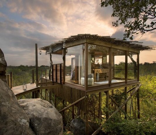 Hoteluri din Africa de Sud: Refugii de nișă în inima naturii