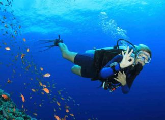 Iată tot ce trebuie să știți despre scufundări nocturne