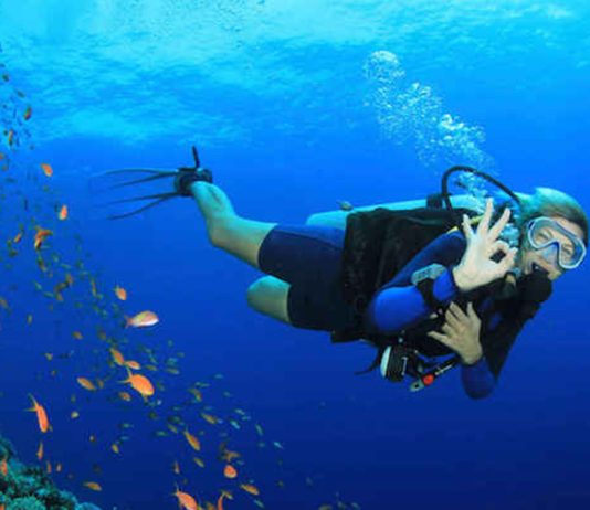 Iată tot ce trebuie să știți despre scufundări nocturne