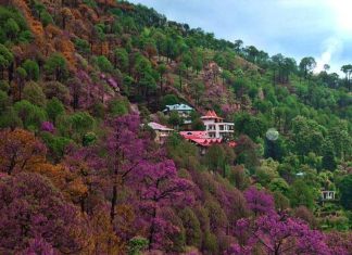 Lucruri de făcut în Kasauli pentru un weekend uimitor