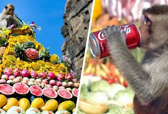 Monkey Buffet Festival – Festivalul de Bufet de Maimuțe
