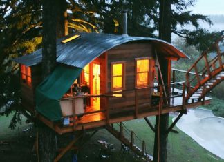 Top case în copac de inchiriat în Michigan