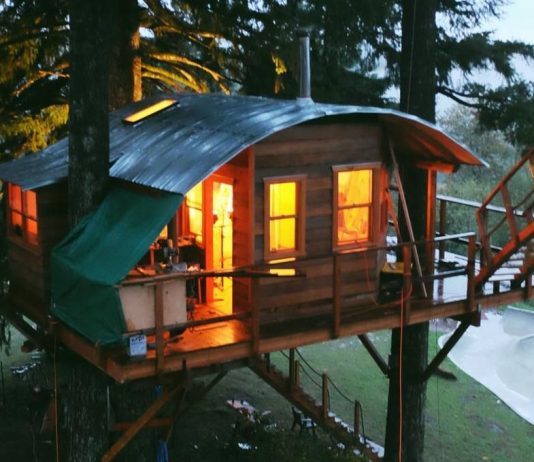 Top case în copac de inchiriat în Michigan