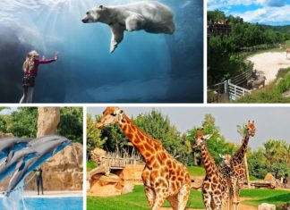 Top cele mai bune grădini zoologice din Marea Britanie