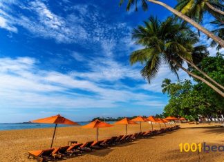 Top cele mai bune plaje din Sri Lanka