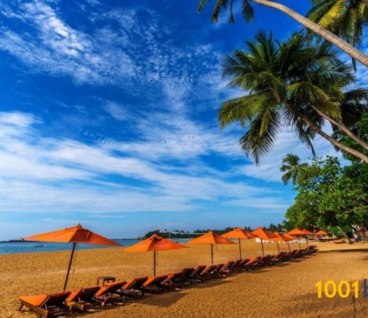 Top cele mai bune plaje din Sri Lanka