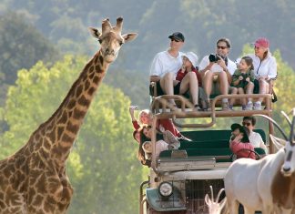 Unde să mergi în vacanță în Africa de Sud