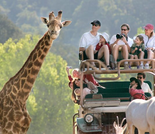 Unde să mergi în vacanță în Africa de Sud